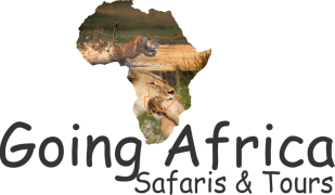 Going AfricaSafaris &amp; Tours